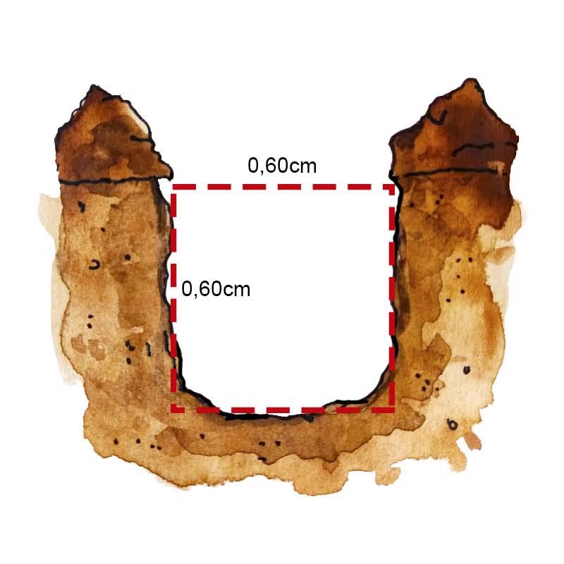 Sacolinhas de lixo penduradas em árvore